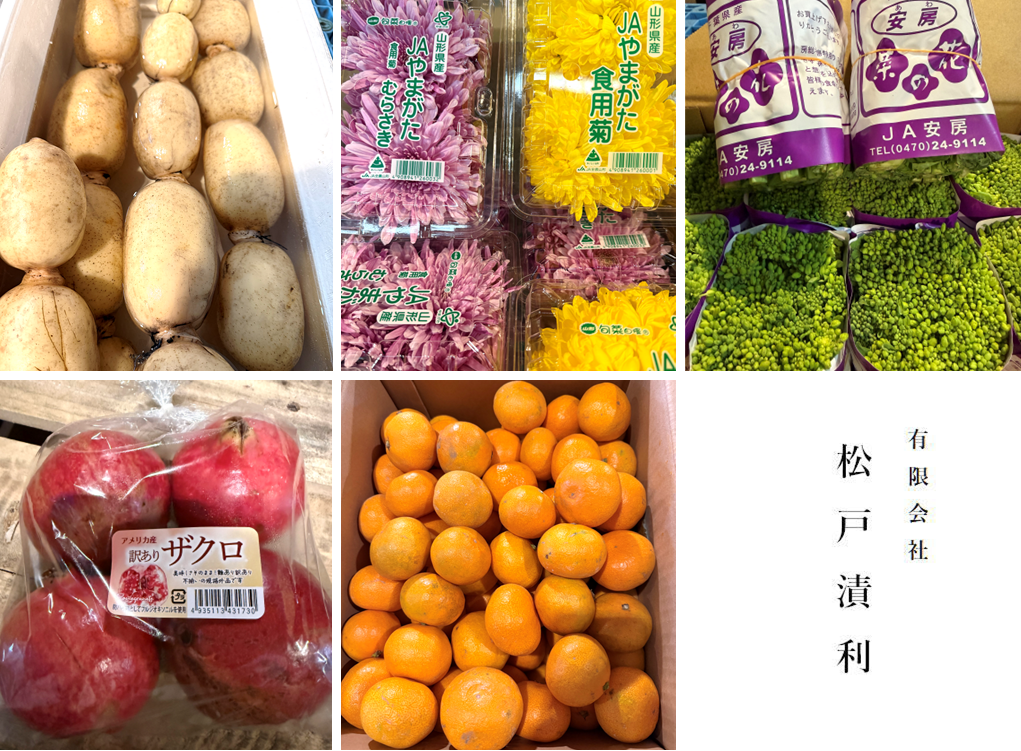 ハス、食用菊(モッテ)、菜花、ザクロ、みかんが入荷です